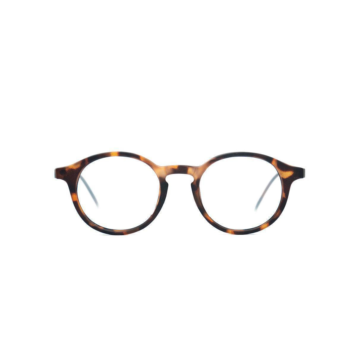 Audrey Tortoise