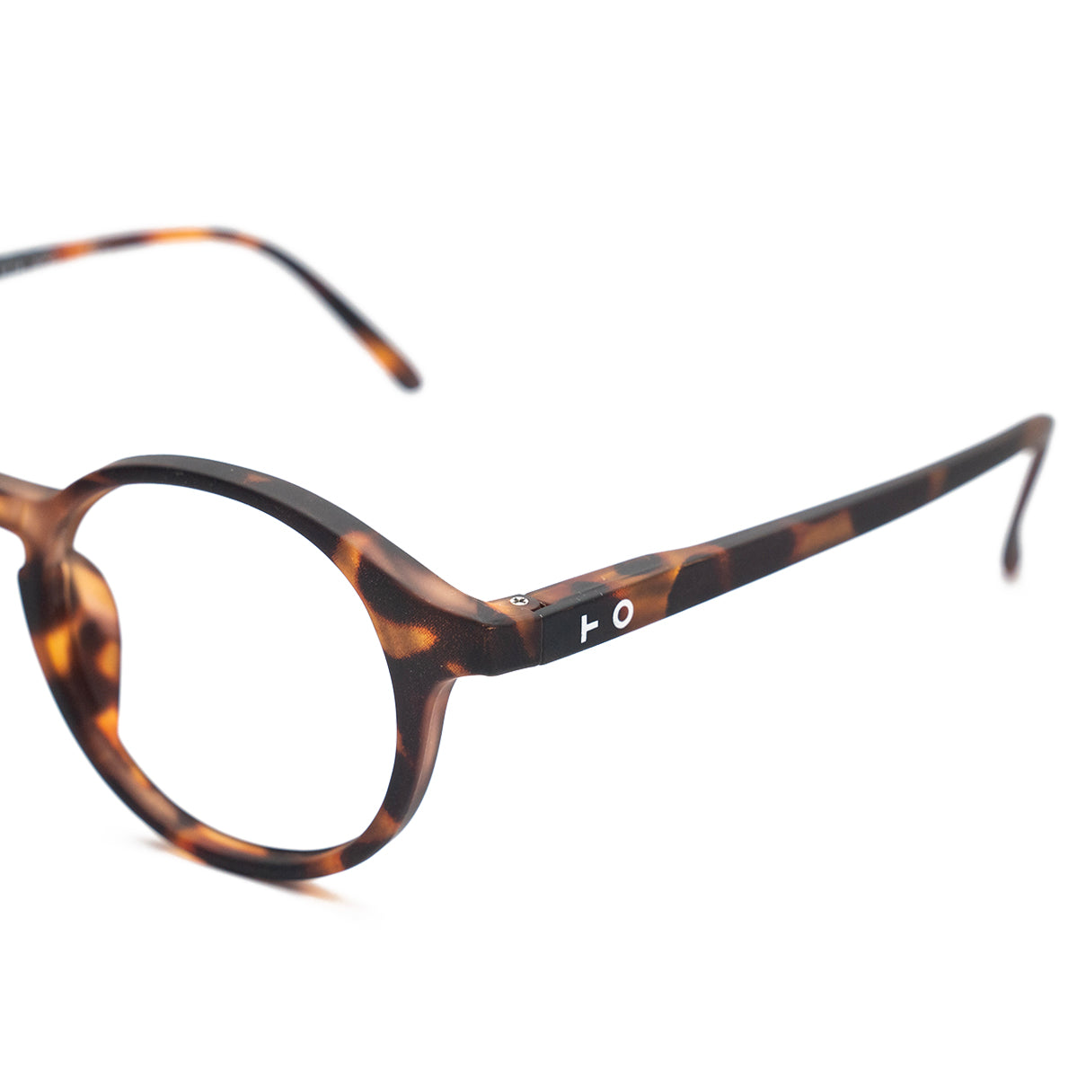 Audrey Tortoise