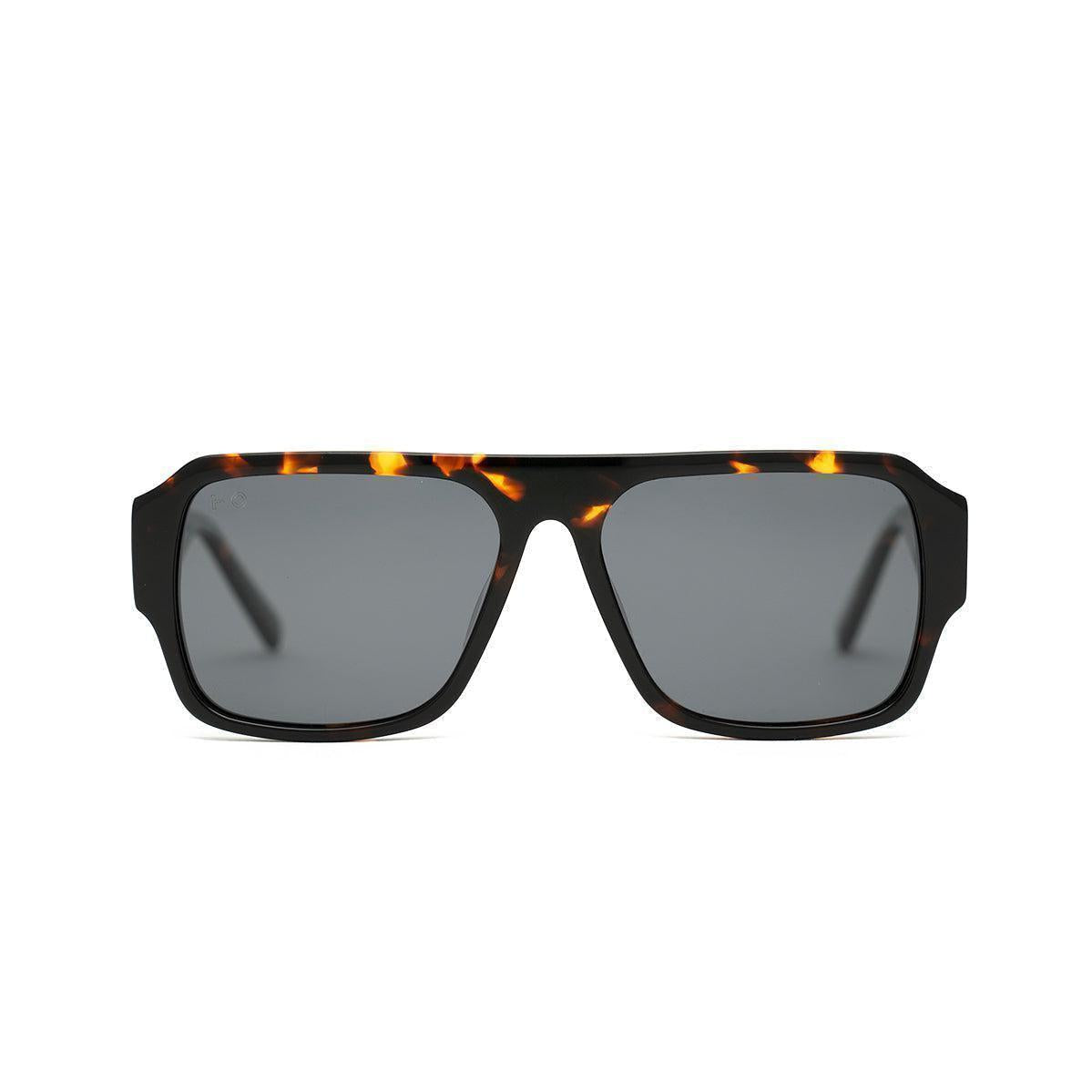 Charly Tortoise