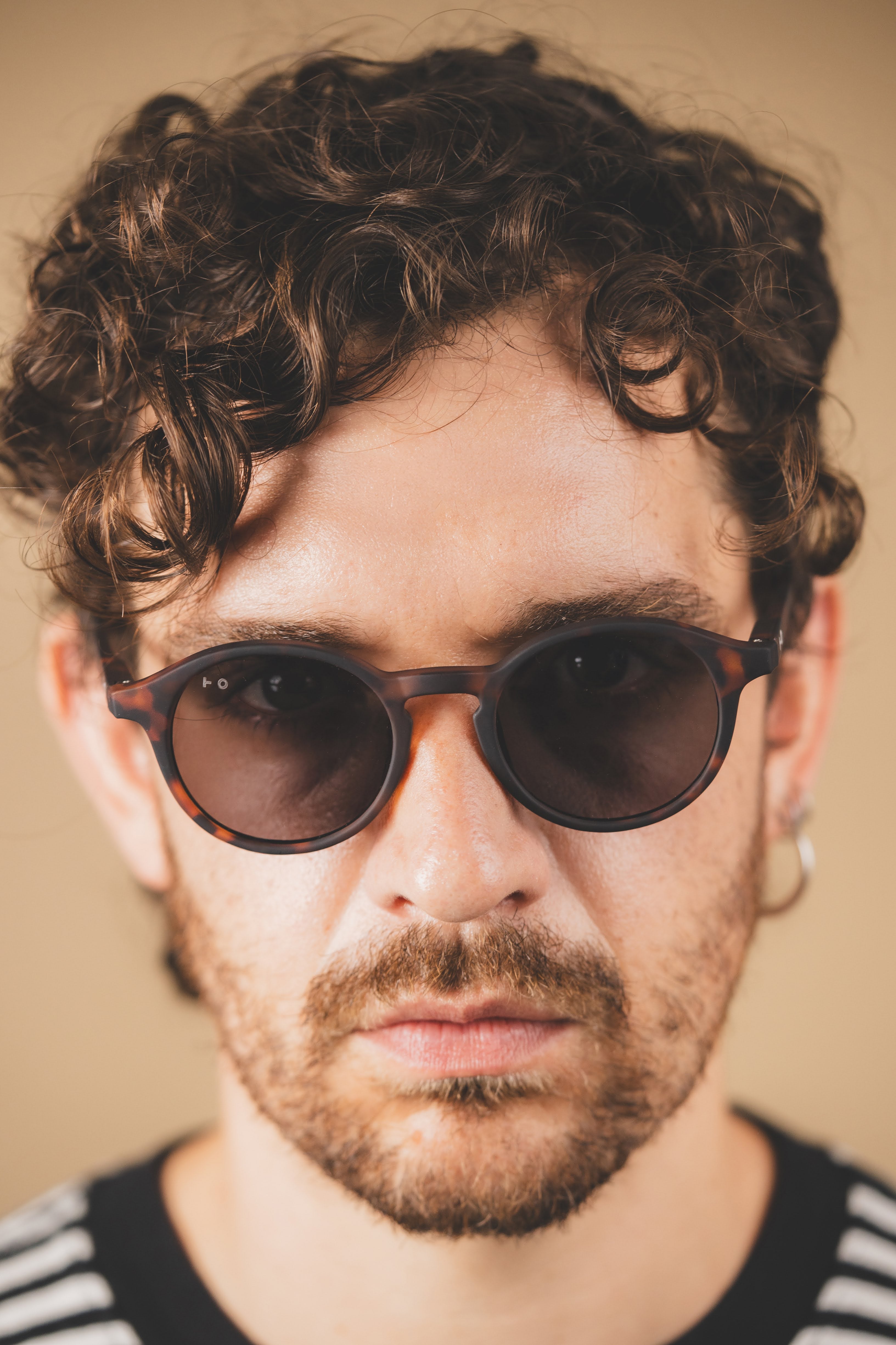 Liam Lectura Sol Tortoise