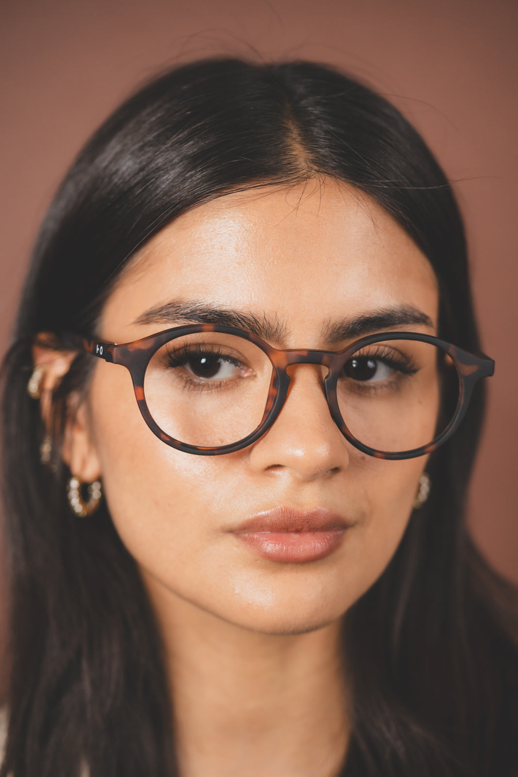 Audrey Tortoise