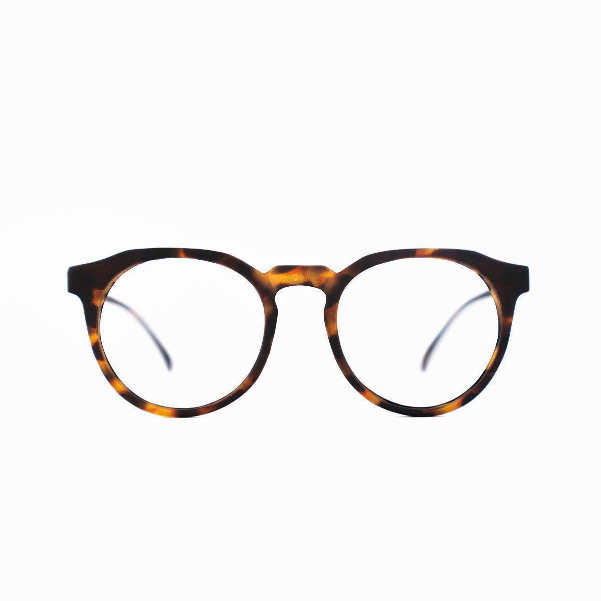 Paul Tortoise Óptico